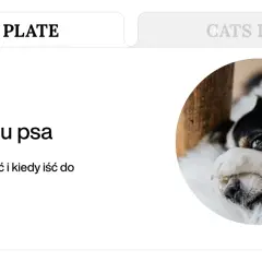 Biegunka u psa. Czy to powód do niepokoju? Dowiedz się, kiedy podać smectę dla psa i kiedy wizyta u weterynarza jest konieczna.