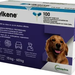 Tabletki na stres dla psa - skuteczne środki uspokajające