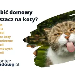 Jak zrobić domowy odstraszacz na koty? Dowiedz się, jak skutecznie zniechęcić koty do odwiedzania Twojego ogrodu.