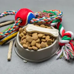 Wyprawka dla psa: miska pełna karmy, gryzaki i kolorowa zabawka-sznur.