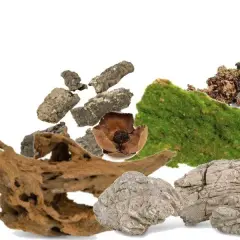 Wystrój terrarium: dekoracje i ozdoby do terrarium