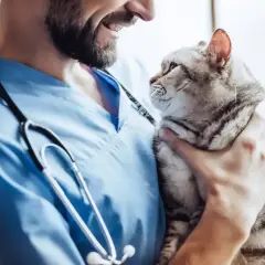 Weterynarz z uśmiechem trzyma kota. Może właśnie rozmawiają o dawkowaniu gabapentyny dla kota, by zapewnić mu komfort.