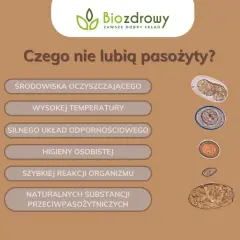 Skuteczne metody odrobaczania: co na odrobaczanie organizmu?