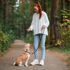 Ruda dziewczyna uczy sztuczek swojego psa na smyczy w jesiennym lesie.
