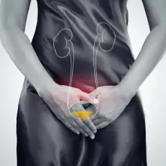 Ilustracja układu moczowego z zaznaczonym pęcherzem. Zastanawiasz się, jak szybko rośnie guz pęcherza moczowego?