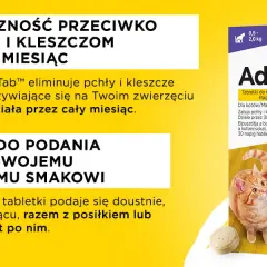 Jak działa tabletka na pchły dla kota: skuteczność i bezpieczne stosowanie