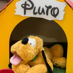 Pluszowy piesek Pluto, jeden z ulubionych bohaterów z bajek, leży w swojej żółtej budzie.
