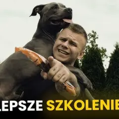 Poznaj skuteczne metody jak wytresować amstaffa: 8 sprawdzonych zasad