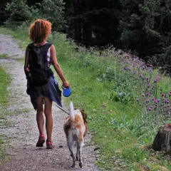 Skuteczne sposoby jak wytresować psa żeby chodził przy nodze - poradnik