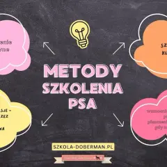 Skuteczne metody jak wytresować psa żeby się słuchał: 10 sprawdzonych zasad