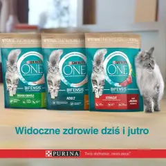 Purina jako karma dla kota: poznaj prawdę o jakości i składzie karmy