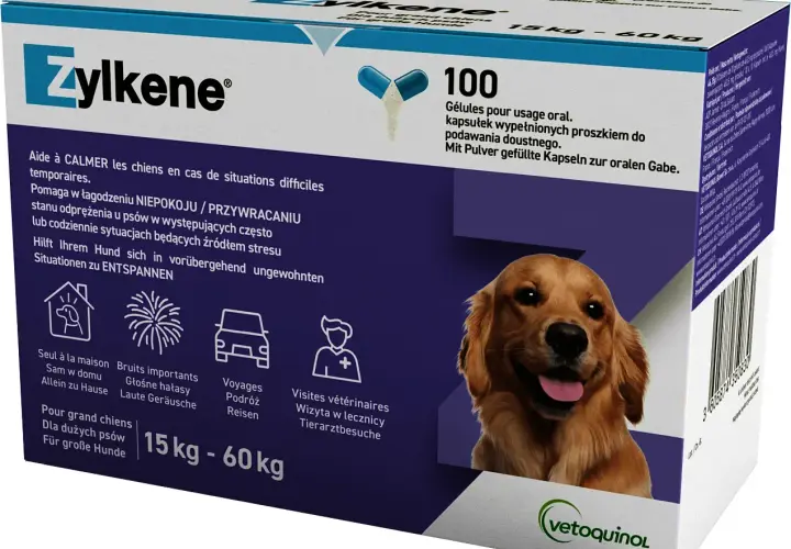 Tabletki na stres dla psa - skuteczne środki uspokajające