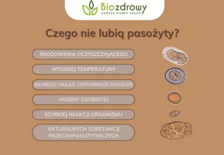 Skuteczne metody odrobaczania: co na odrobaczanie organizmu?