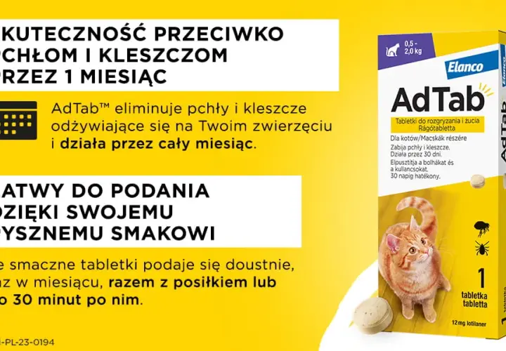 Jak działa tabletka na pchły dla kota: skuteczność i bezpieczne stosowanie