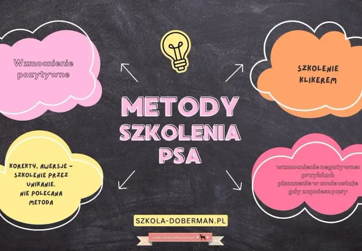 Skuteczne metody jak wytresować psa żeby się słuchał: 10 sprawdzonych zasad