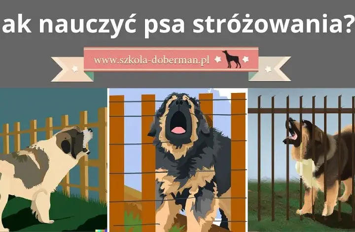 Jak wytresować psa obronnego w domu: kompletny poradnik i praktyczne porady