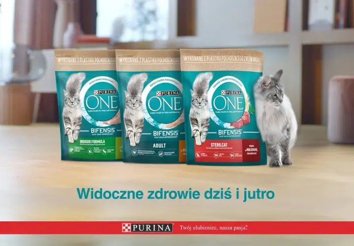 Purina jako karma dla kota: poznaj prawdę o jakości i składzie karmy