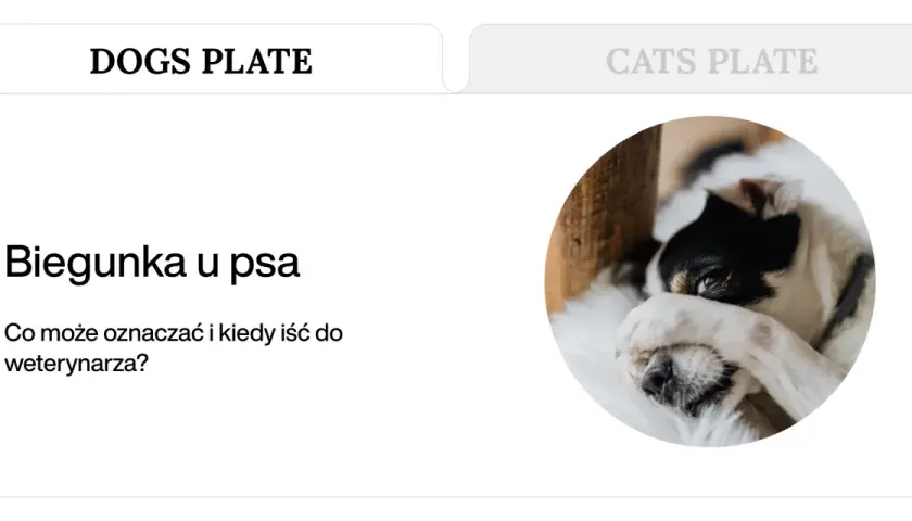 Biegunka u psa. Czy to powód do niepokoju? Dowiedz się, kiedy podać smectę dla psa i kiedy wizyta u weterynarza jest konieczna.