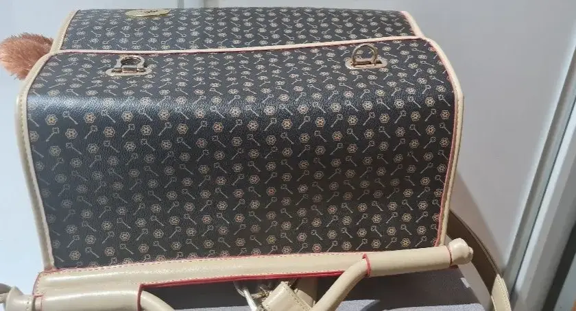 Luksusowy transporter dla psa Louis Vuitton - komfort i elegancja