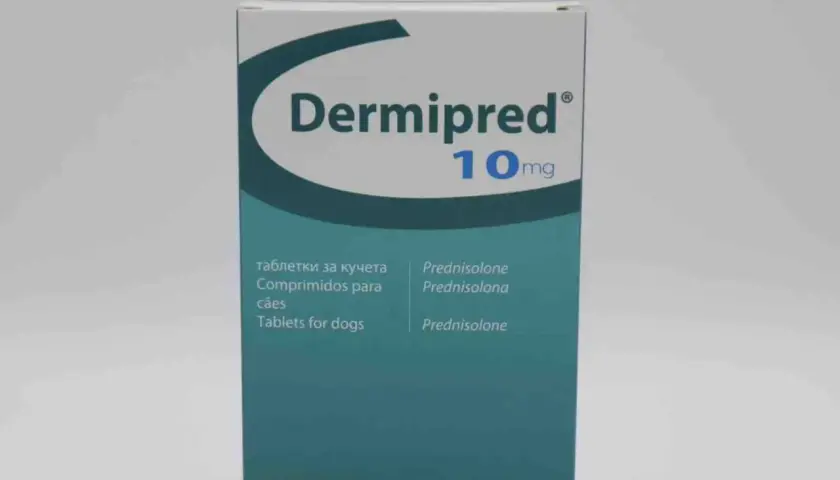 Opakowanie leku Dermipred 10mg, zawierające tabletki z prednizolonem dla psów.