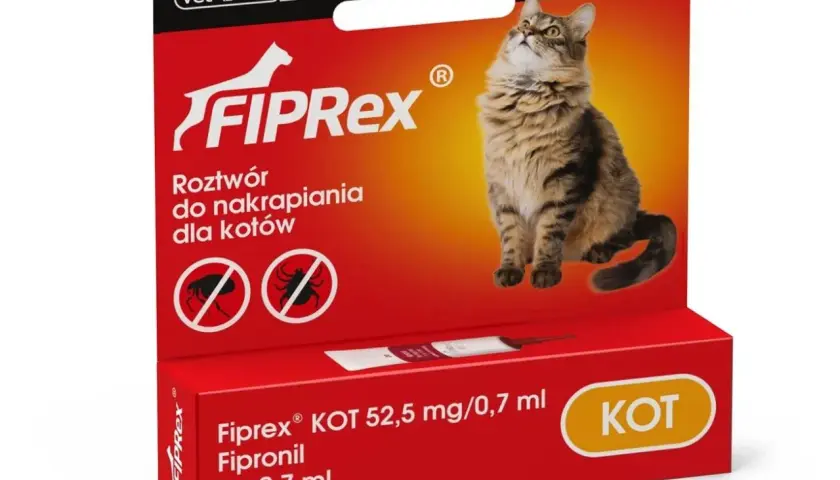 Skuteczne preparaty na pchły dla kota - poznaj najlepsze metody ochrony