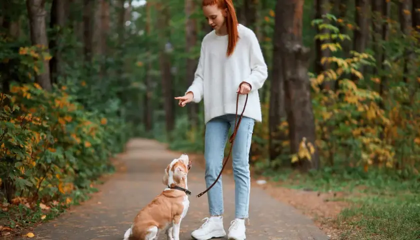 Ruda dziewczyna uczy sztuczek swojego psa na smyczy w jesiennym lesie.