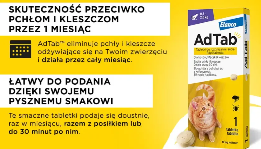 Jak działa tabletka na pchły dla kota: skuteczność i bezpieczne stosowanie
