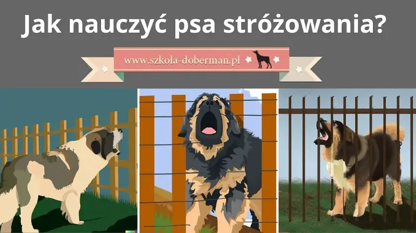 Jak wytresować psa obronnego w domu: kompletny poradnik i praktyczne porady