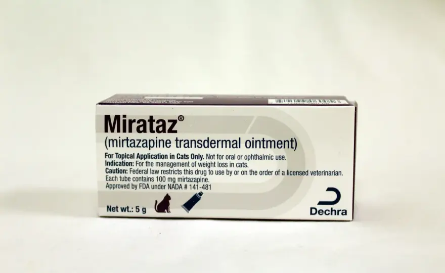 Mirtazapina dla kota - Czy maść Mirataz to ratunek?