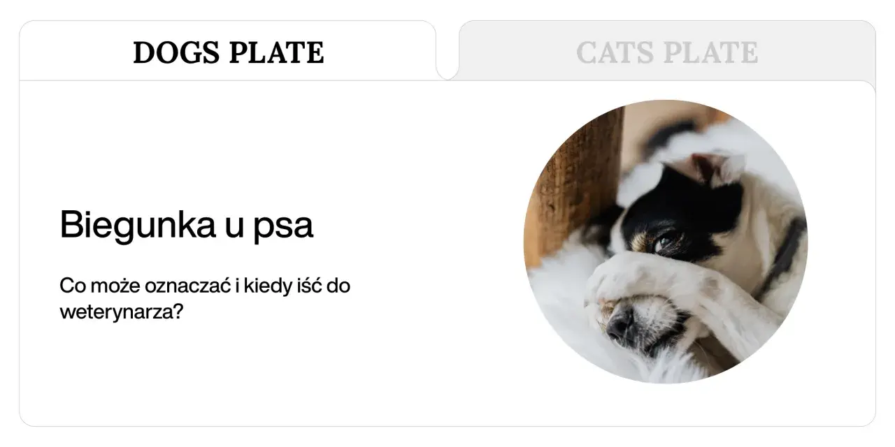 Biegunka u psa. Czy to powód do niepokoju? Dowiedz się, kiedy podać smectę dla psa i kiedy wizyta u weterynarza jest konieczna.