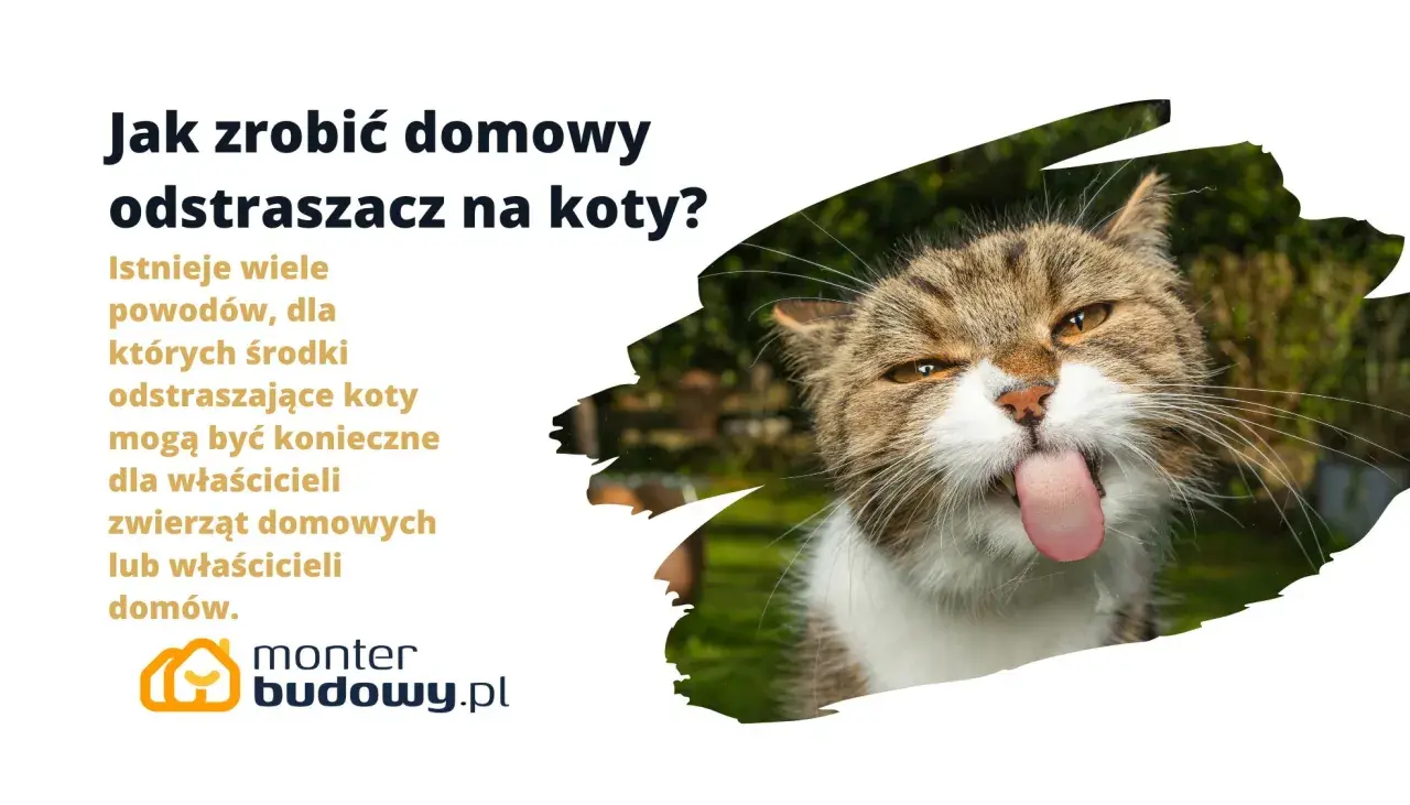 Jak zrobić domowy odstraszacz na koty? Dowiedz się, jak skutecznie zniechęcić koty do odwiedzania Twojego ogrodu.