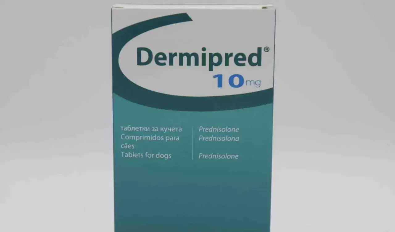 Opakowanie leku Dermipred 10mg, zawierające tabletki z prednizolonem dla psów.