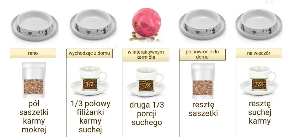 Prawidłowe dawkowanie suchej karmy dla kota - poznaj najlepsze zasady karmienia