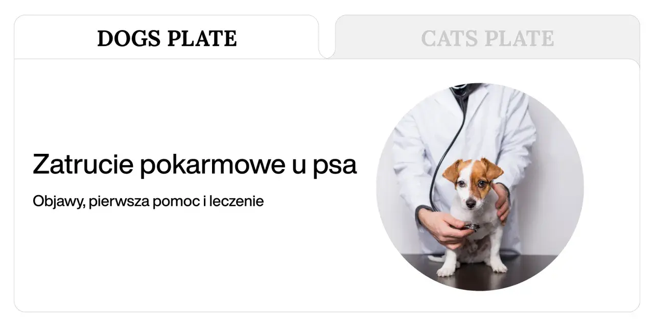 Weterynarz bada psa, który może mieć objawy zatrucia pokarmowego. Tekst informuje o zatruciu pokarmowym u psa.